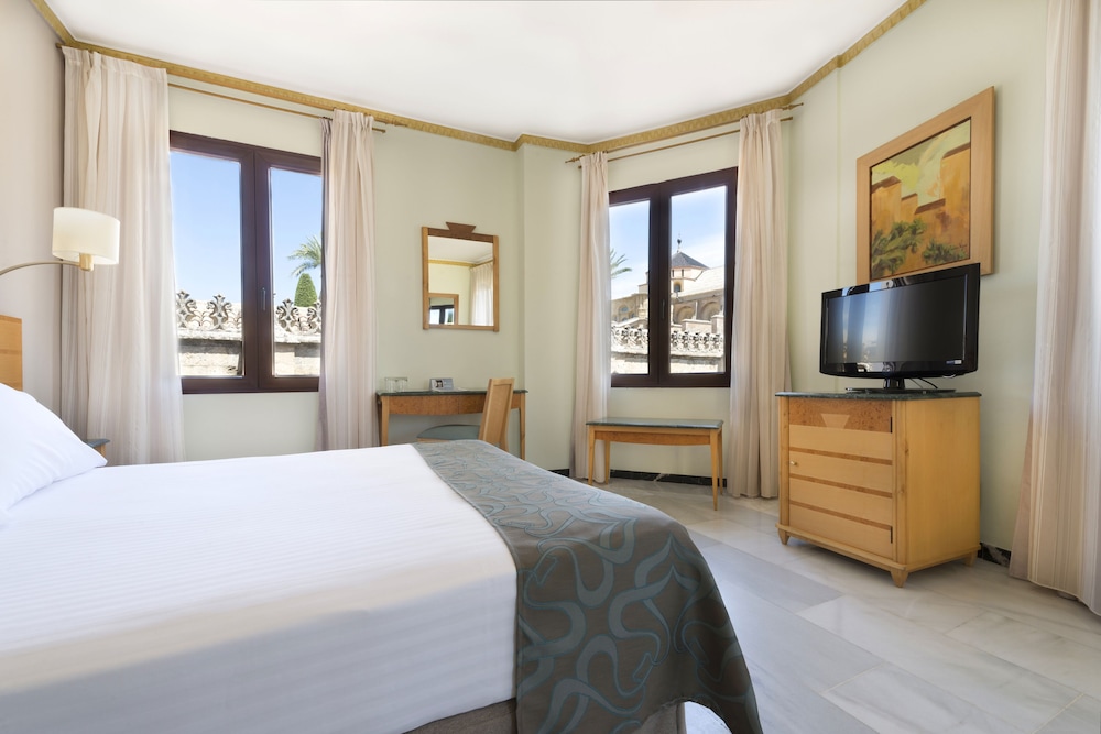Double Room Single Use (Mezquita View)