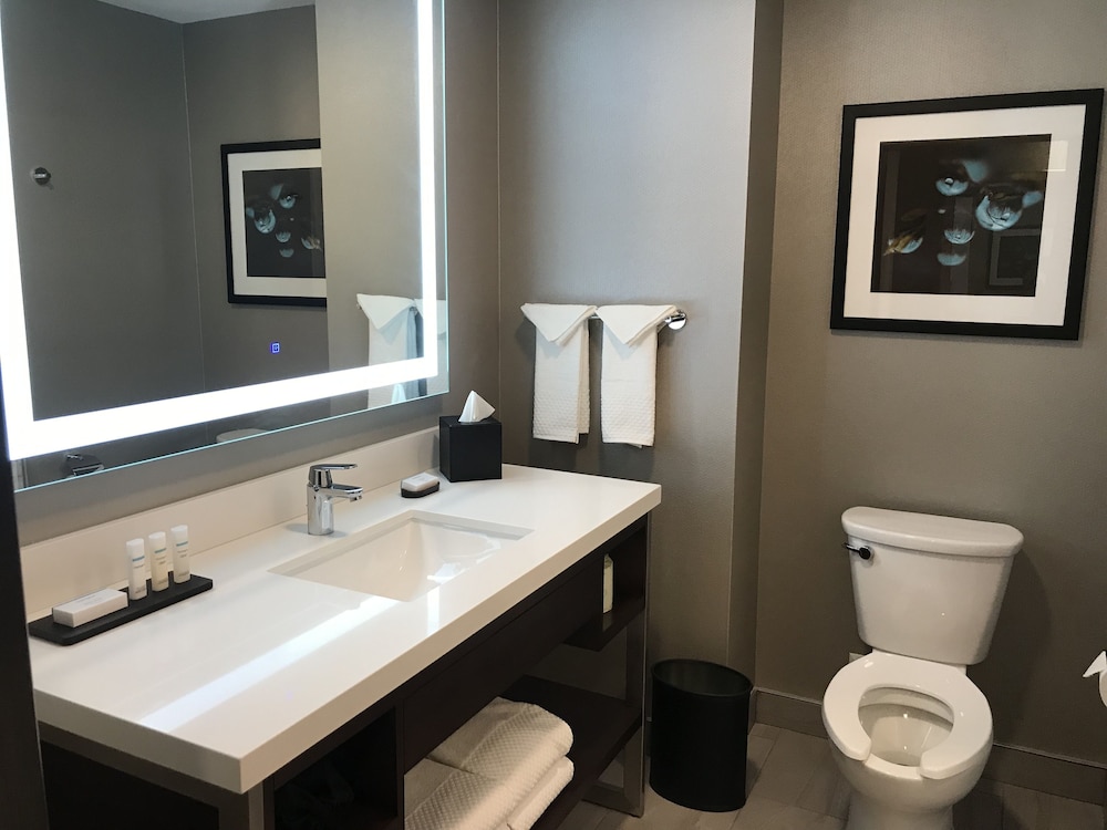 Studio, 1 King Bed, Accessible Bathtub - Photo 9