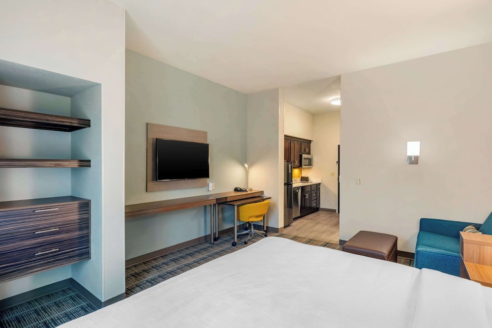 Suite, 1 King Bed, Non Smoking (Efficiency) - Photo 4