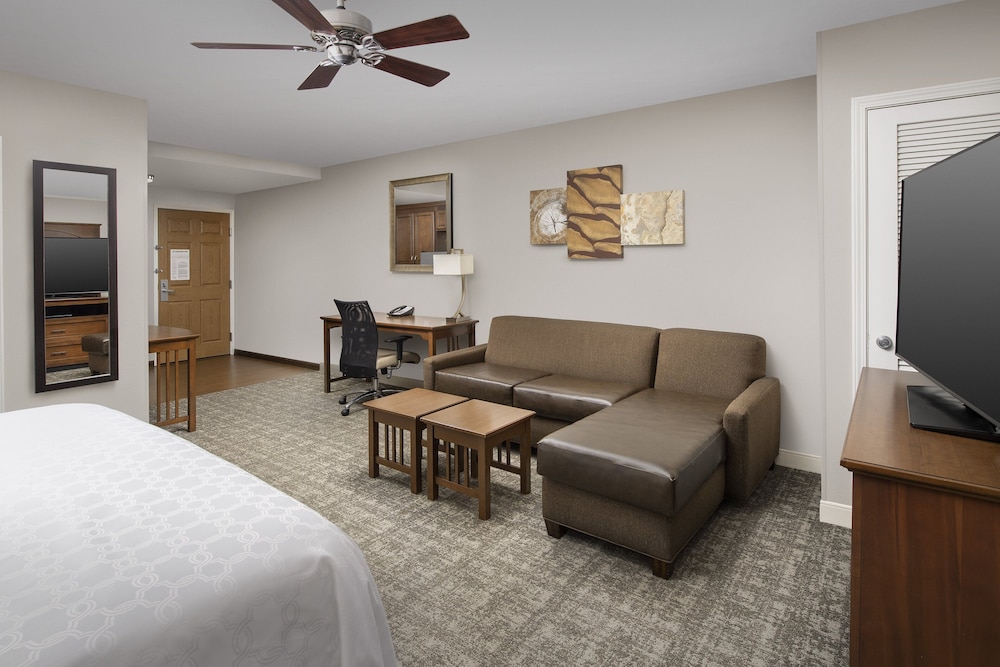Studio Suite, 1 King Bed, Accessible Bathtub, Kitchen (Accessible Tub) - Photo 3