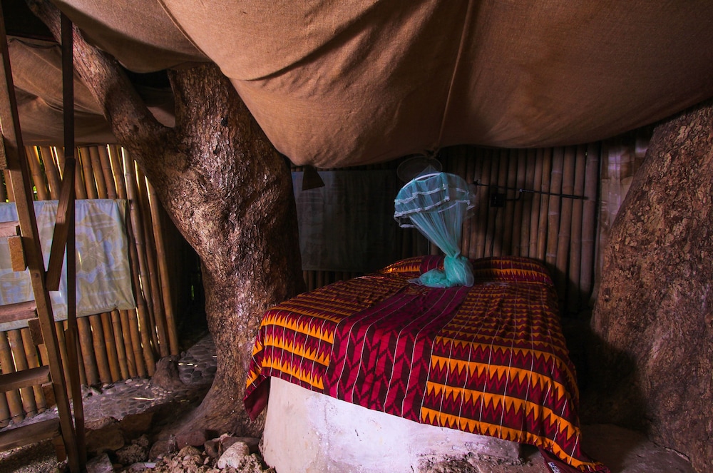 Almond Tree House
