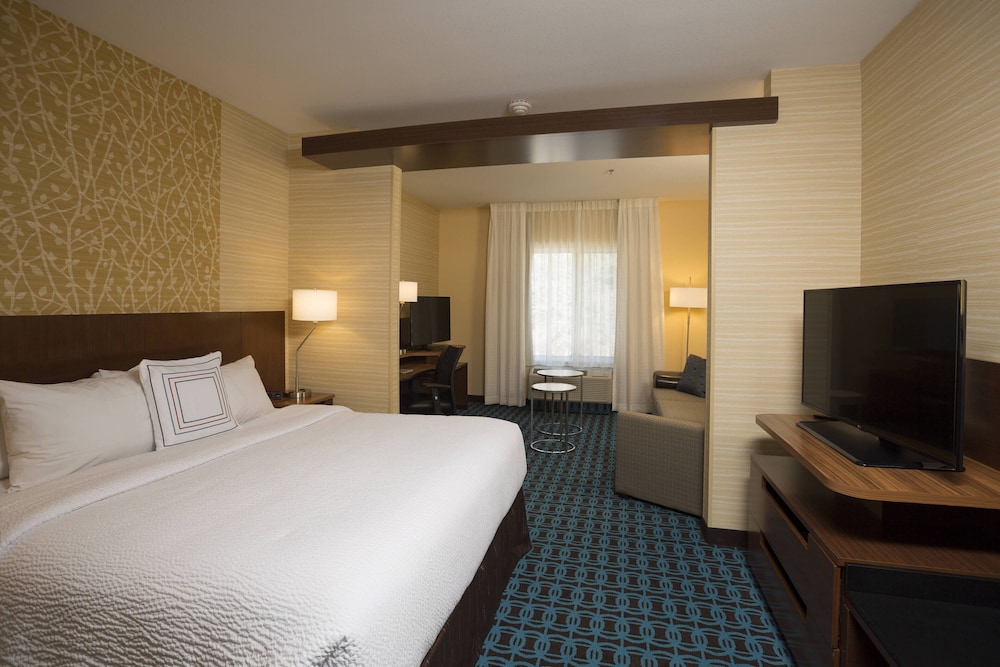 Suite, 1 King Bed with Sofa bed