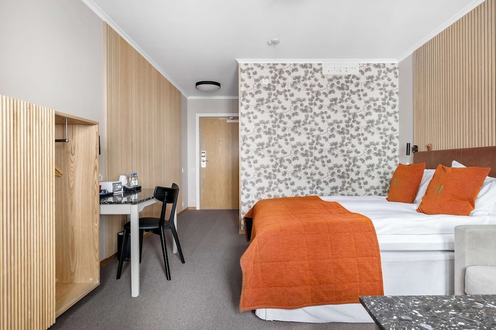Standard Room, 1 King Bed, Non Smoking (with Sofabed) photo 3