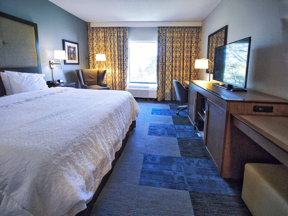 Room, 1 King Bed, Accessible, Bathtub (Hearing) - Photo 1