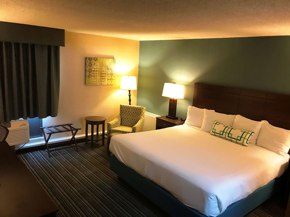 Suite, 1 King Bed, Non Smoking, Refrigerator (with Sofabed) - Photo 3
