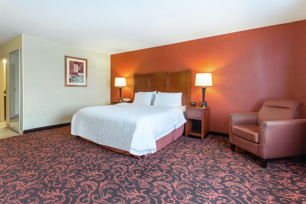 Room, 1 King Bed, Accessible, Non Smoking photo 1
