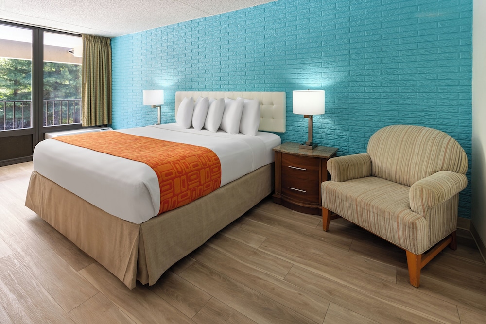 Standard Single Room (King Room Disability Access) - Photo 1