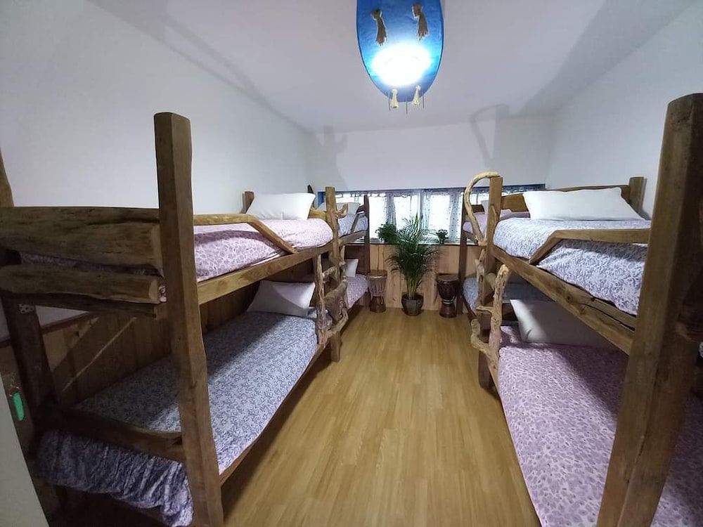 Economy Shared Dormitory photo 2