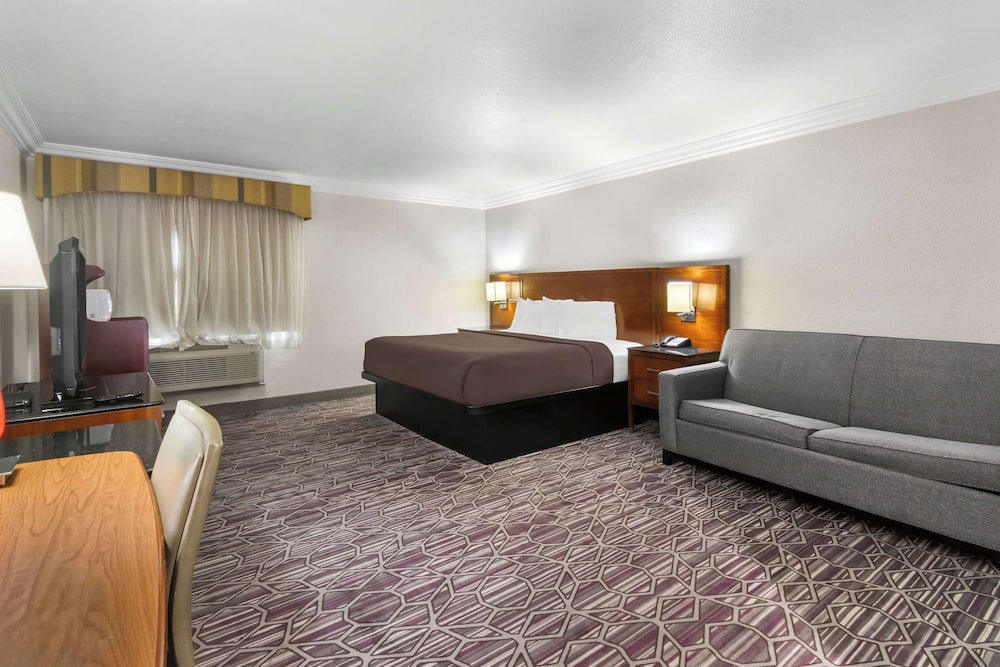Standard Room, 1 King Bed, Accessible, Refrigerator & Microwave (with Sofabed) photo 1