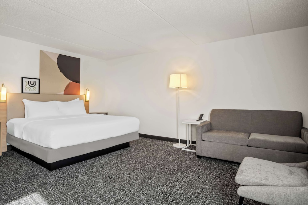Room, 1 King Bed with Sofa bed