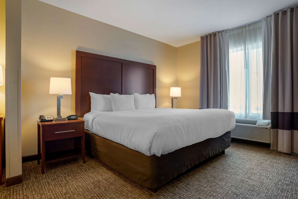 Suite, 1 King Bed, Non Smoking photo 3