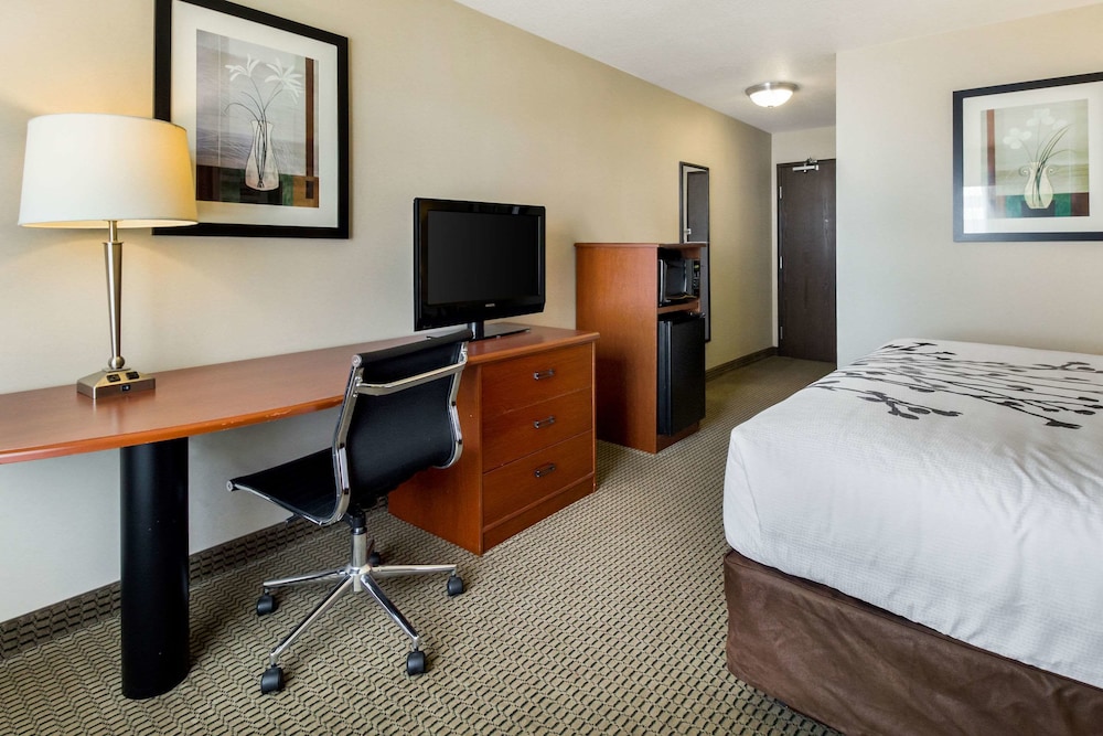 Standard Room, 1 King Bed, Non Smoking - Photo 5