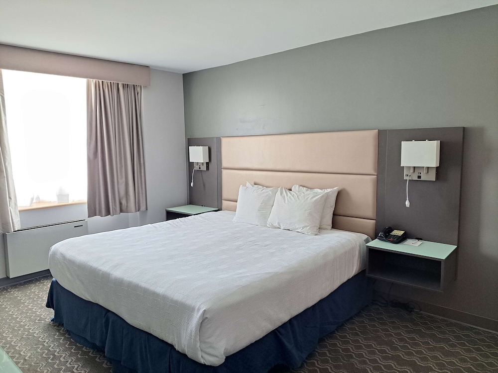 Executive Room, 1 King Bed, Non Smoking (Shower Only) - Photo 3