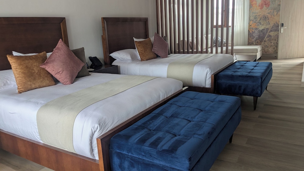 Junior Suite photo 1