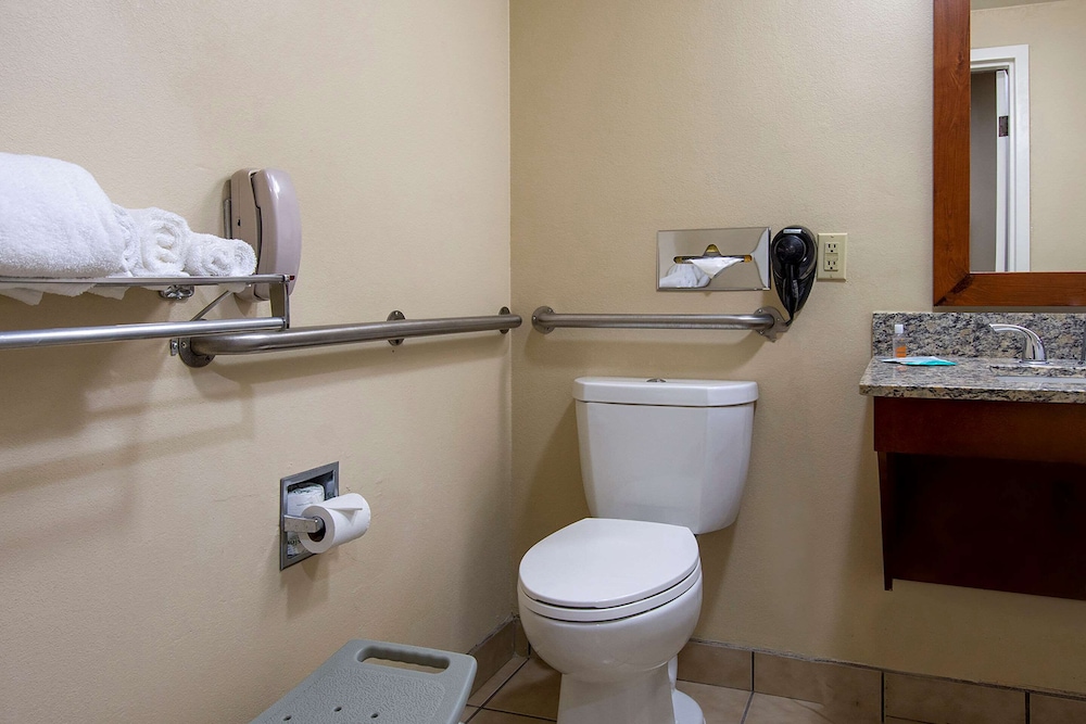Standard Room, 1 King Bed, Accessible, Non Smoking - Photo 4