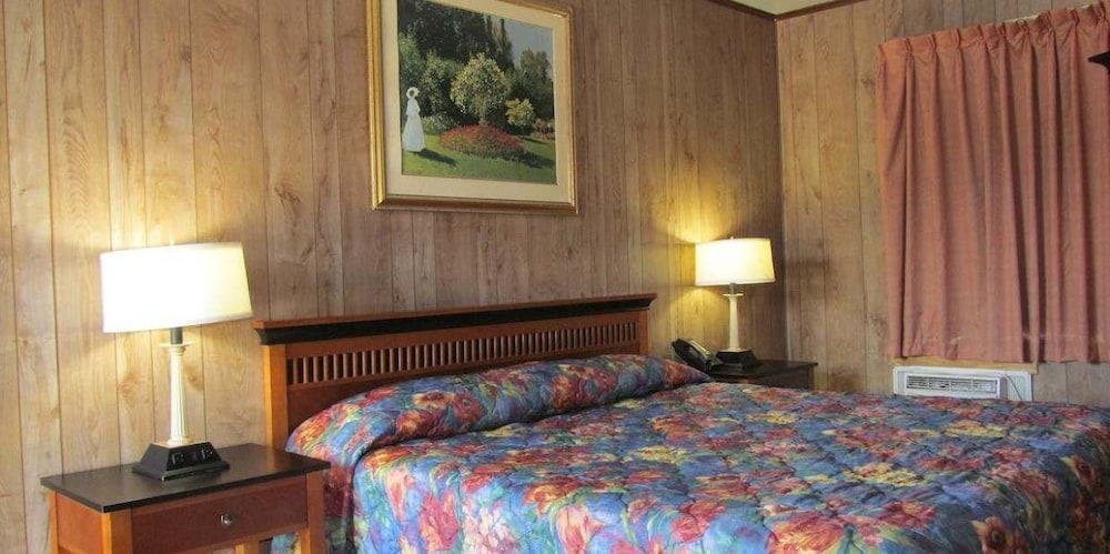 Classic Room, 1 King Bed, Non Smoking, City View photo 1