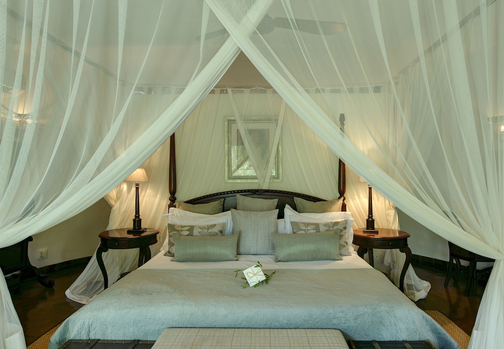 Luxury Room photo 2