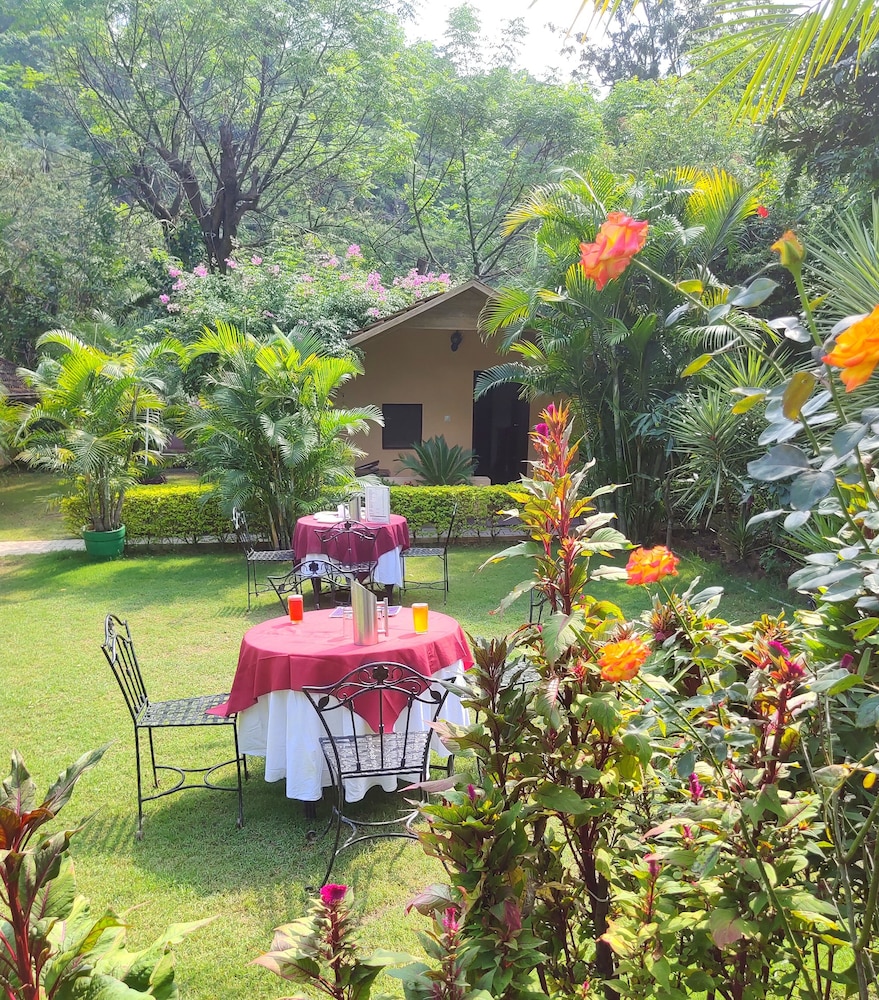 Double Room, 1 Double Bed, Garden View photo 3