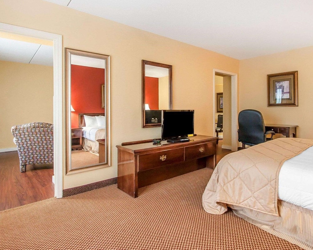 Standard Room, 1 King Bed, Non Smoking photo 2