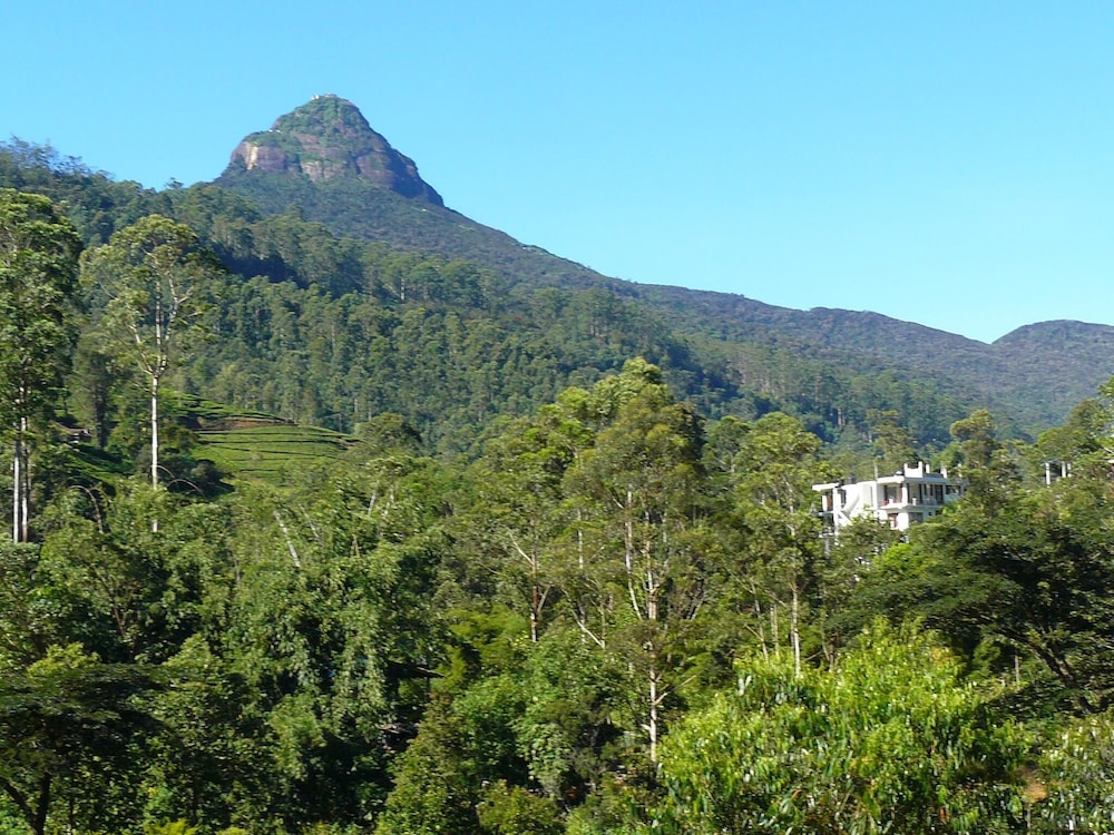 Deluxe Double Room, 1 Bedroom, Mountain View photo 2