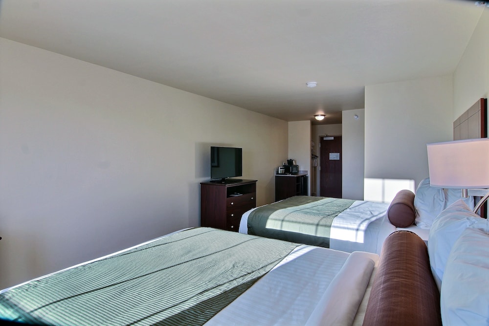 Studio, Multiple Beds, Non Smoking