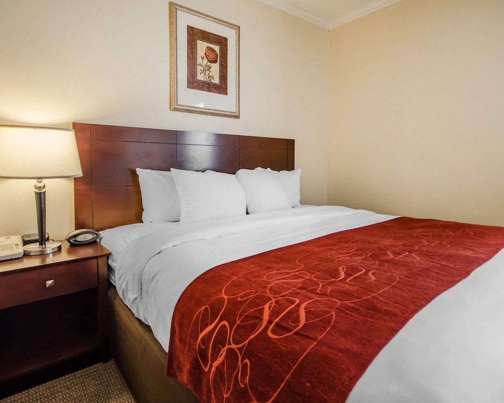 Suite, 1 King Bed with Sofa bed, Non Smoking - Photo 1