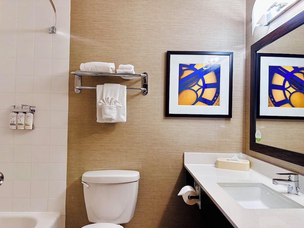 Suite, 1 Bedroom - Photo 7