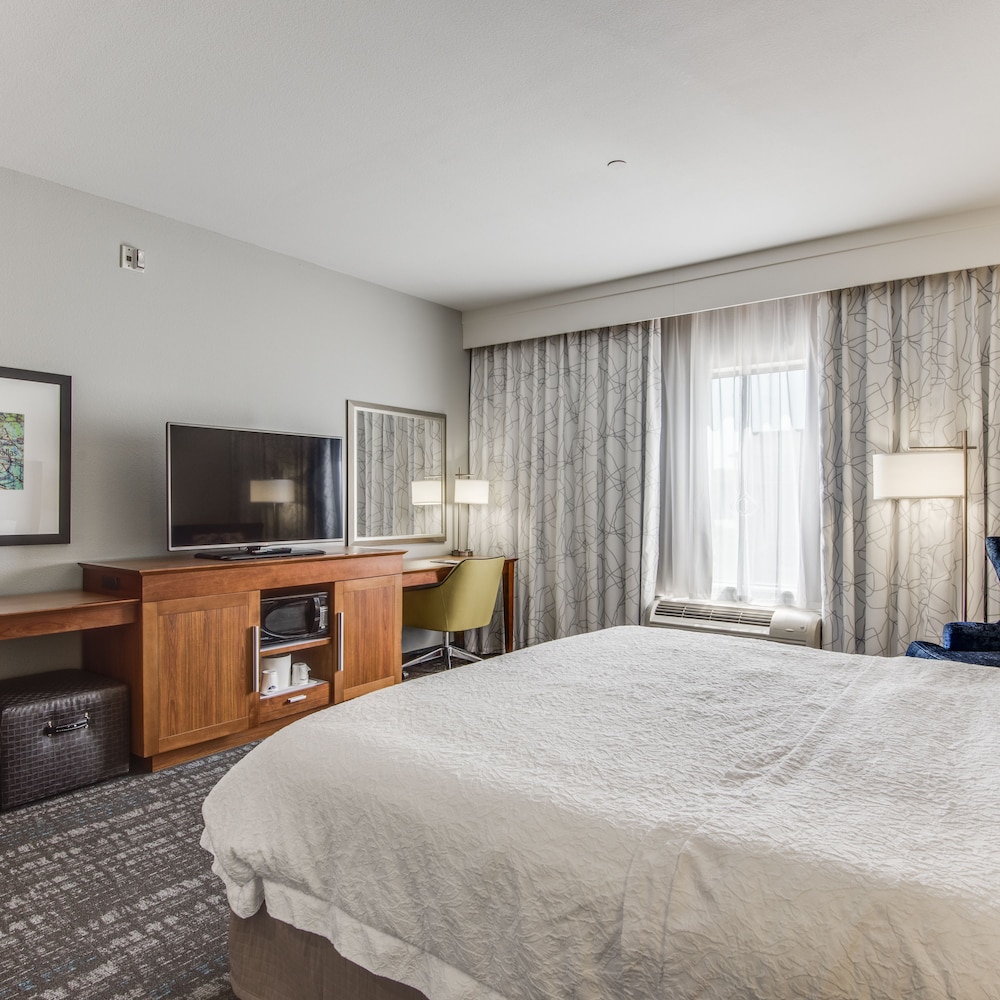 Room, 1 King Bed, Refrigerator