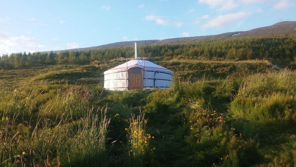 Tent - Photo 15