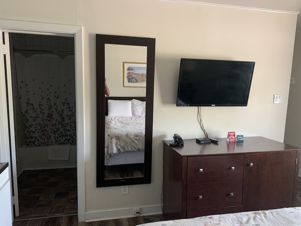 Comfort Single Room, 1 Queen Bed photo 3