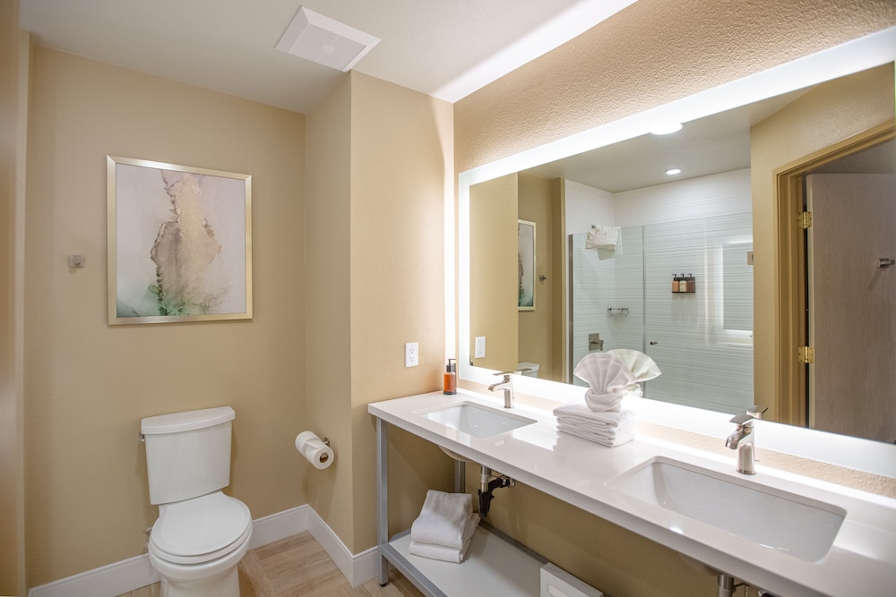 2 Room Suite - Photo 4