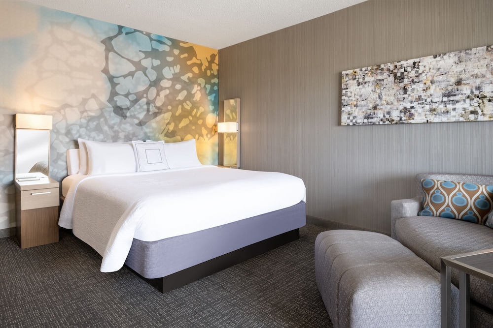 Room, 1 King Bed (Mobility Accessible, Roll-In Shower) - Photo 2