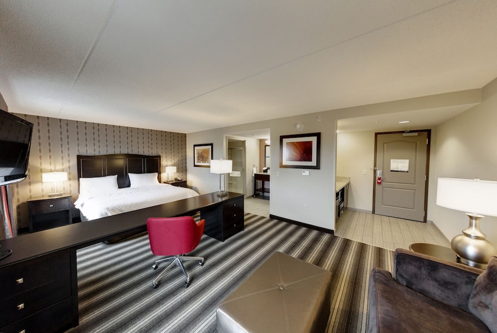 Suite, One King Bed, Non-Smoking photo 3