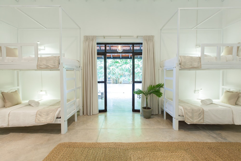 Superior Shared Dormitory photo 2