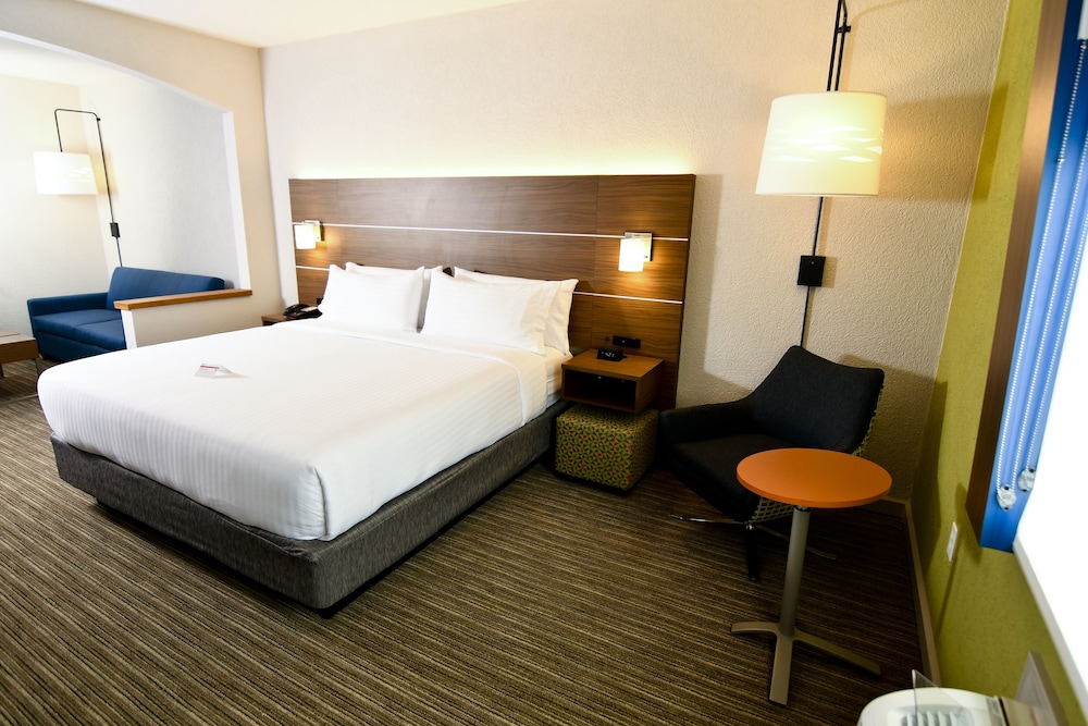 Suite, 1 King Bed - Photo 4