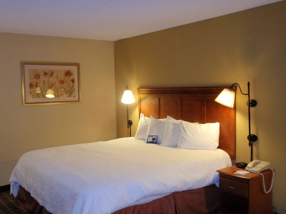 Room, 1 King Bed, Accessible, Non Smoking (Mobility,Hearing,Tub w/Grab Bars) - Photo 6