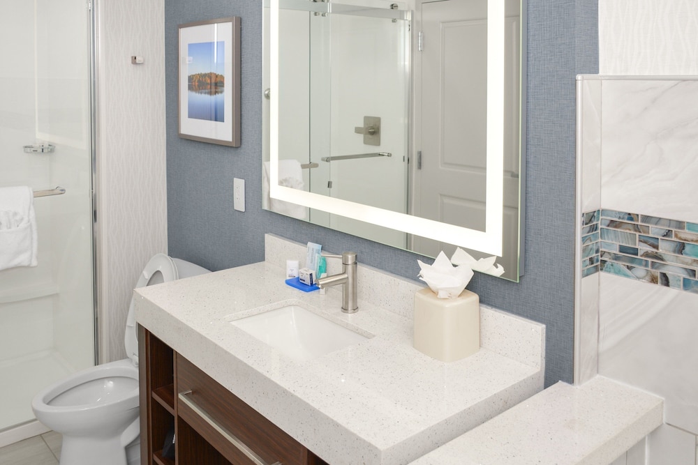 Suite, 1 Bedroom - Photo 4