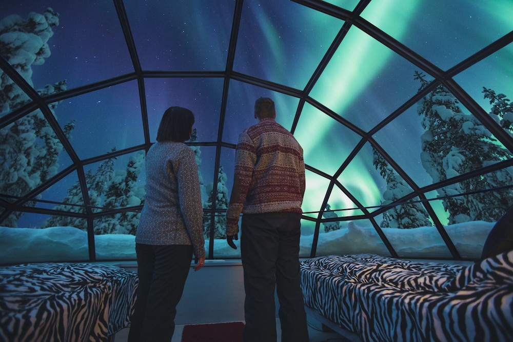 Small Glass Igloo (East Village) photo 2