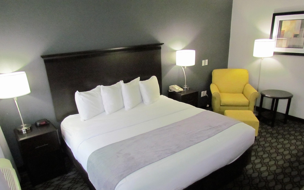 Standard Room, 1 King Bed, Accessible, Non Smoking photo 3