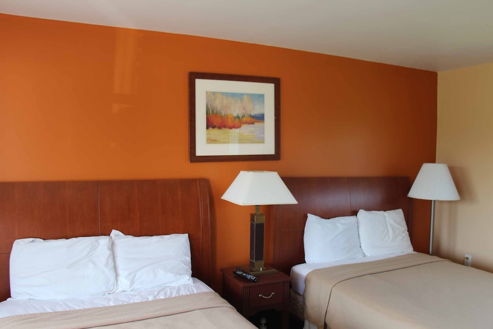 Standard Room, 2 Double Beds photo 3