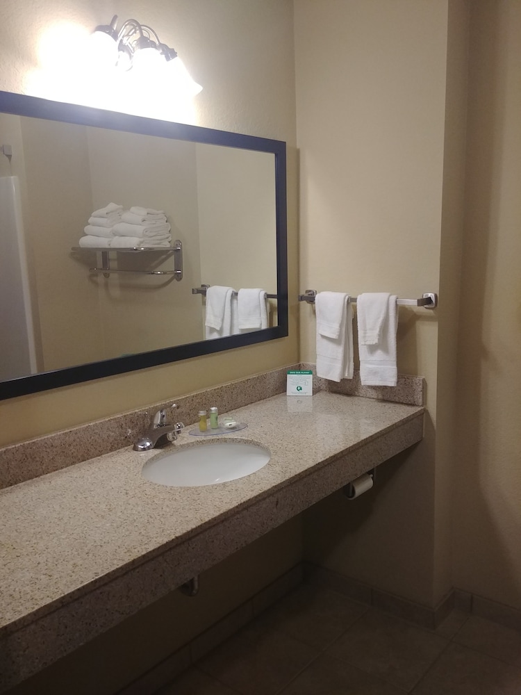 Suite, 1 King Bed, Non Smoking photo 2
