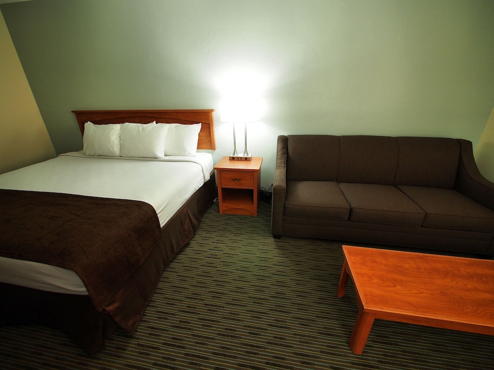 Room, 1 King Bed with Sofa bed photo 1
