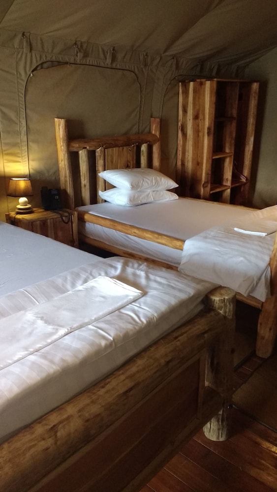 Luxury Tent, 2 Twin Beds photo 2
