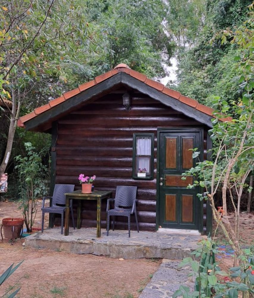 Standard Bungalow, 1 King Bed, Garden View photo 2