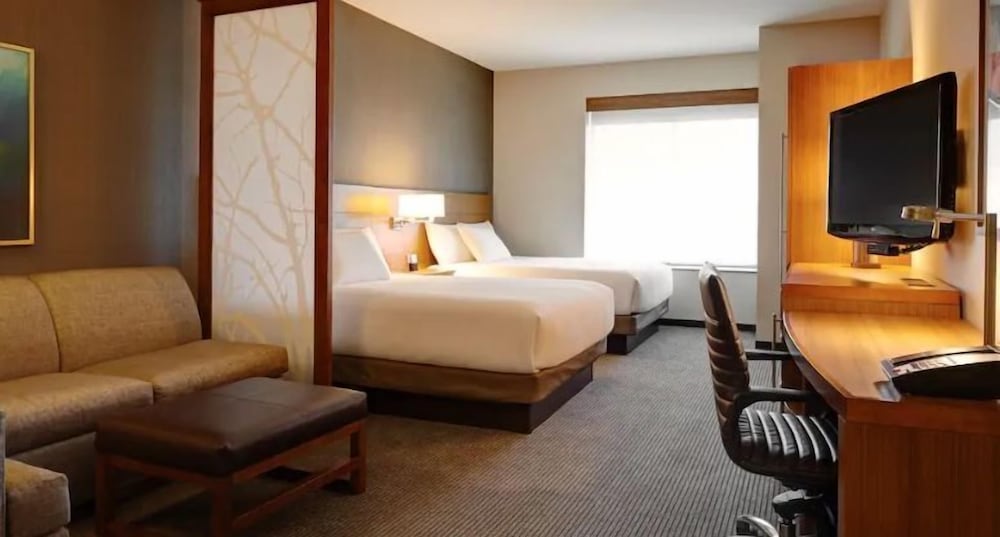 Room, 1 King Bed, Accessible (Shower)