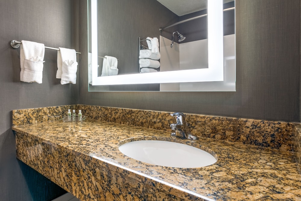 Holiday Inn Auburn by IHG, 사진 4