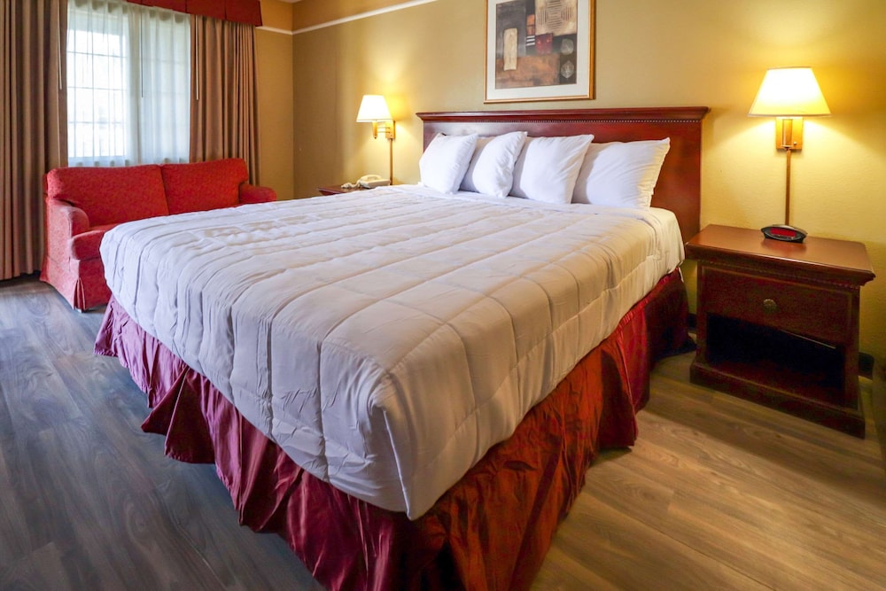 Suite, 1 King Bed, Non Smoking photo 3