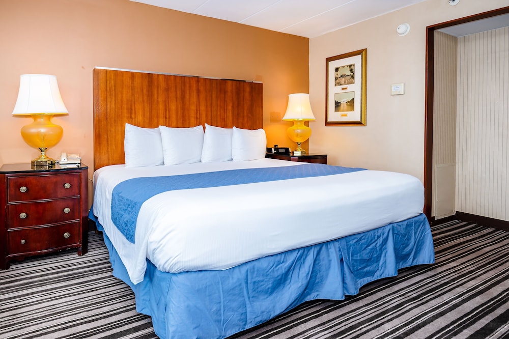 Accessible, 1 King Bed photo 1