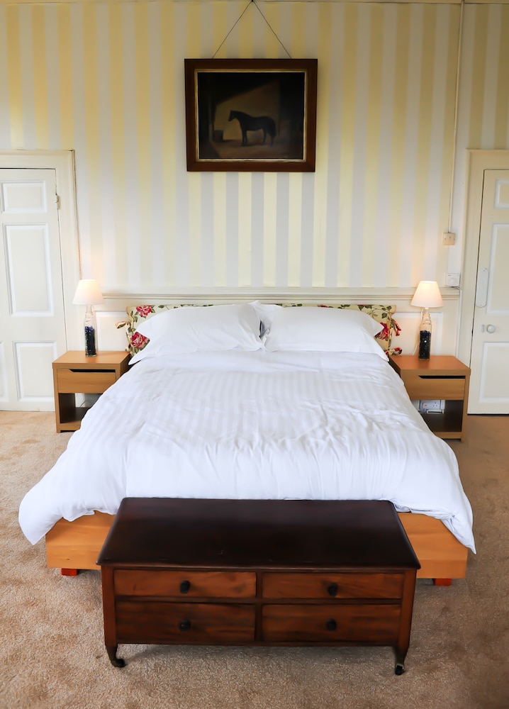 Superior Double Room (Gold Room) photo 3