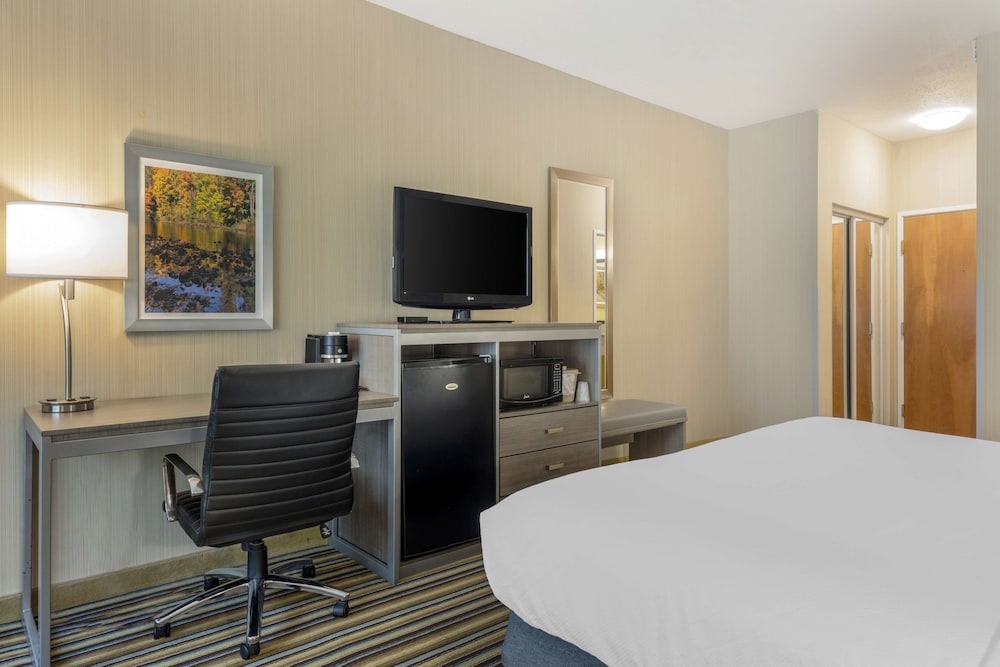 Standard Room, 1 King Bed, Non Smoking, Microwave - Photo 3